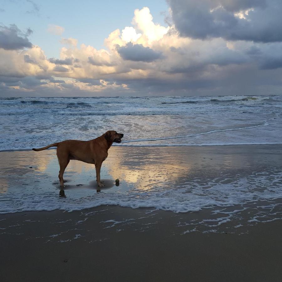 In De Bocht Villa Heiloo Dış mekan fotoğraf